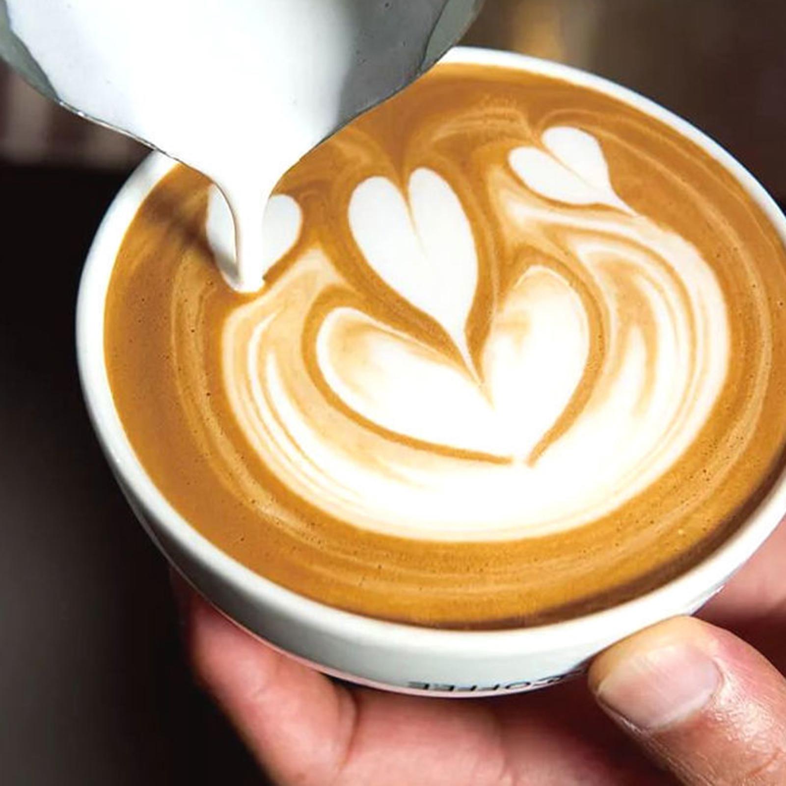 Cafetera Pequeña de 600ml, Oll - Coffee Tea Chocolate reseña y precio